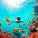 Experience the best snorkeling in Cabo with vibrant marine life and clear waters.