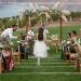 Romantic and Intimate Clarksburg Wedding Venues for Every Couple
